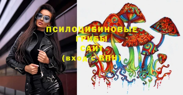 первитин Алексин