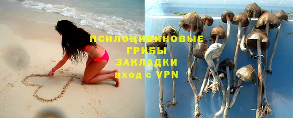 первитин Алексин