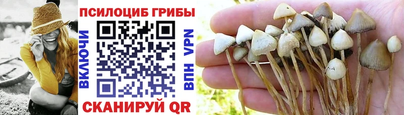 где купить наркоту  Советский  Псилоцибиновые грибы Magic Shrooms 